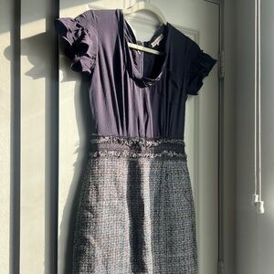 Adorable Plum Purple Rebecca Taylor Dress